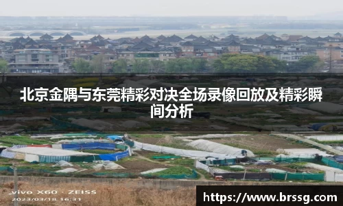 北京金隅与东莞精彩对决全场录像回放及精彩瞬间分析
